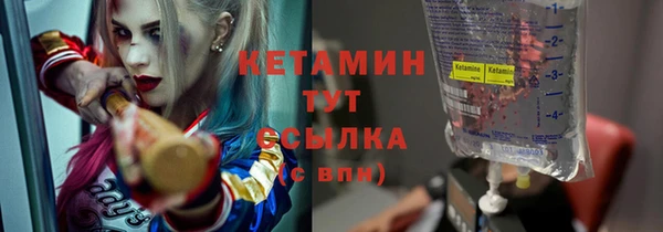 индика Грязи