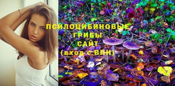 экстази Осташков