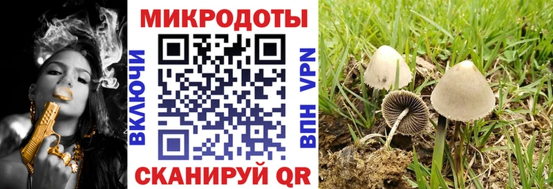 кракен как войти  Петровск-Забайкальский  Галлюциногенные грибы Cubensis  хочу наркоту 