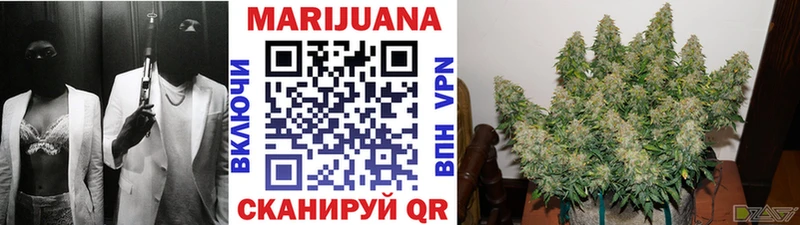 Шишки марихуана план  закладки  Петровск-Забайкальский 